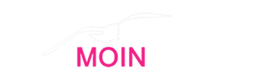 MoinCode:Software | Webdesign für Norderstedt und Hamburg